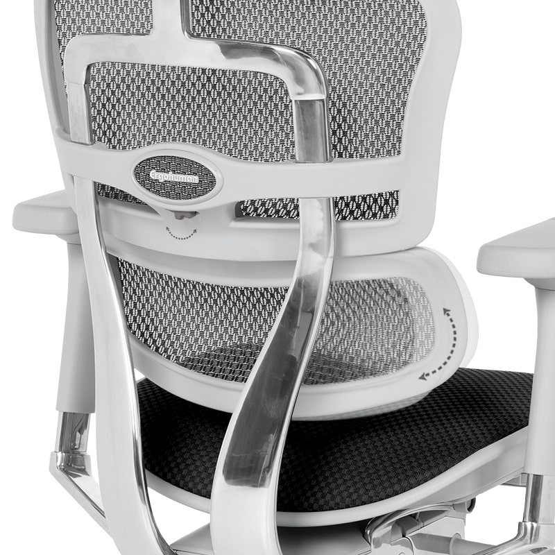 Ергономичен офис стол Ergohuman Elite 2 черен-сива рамка